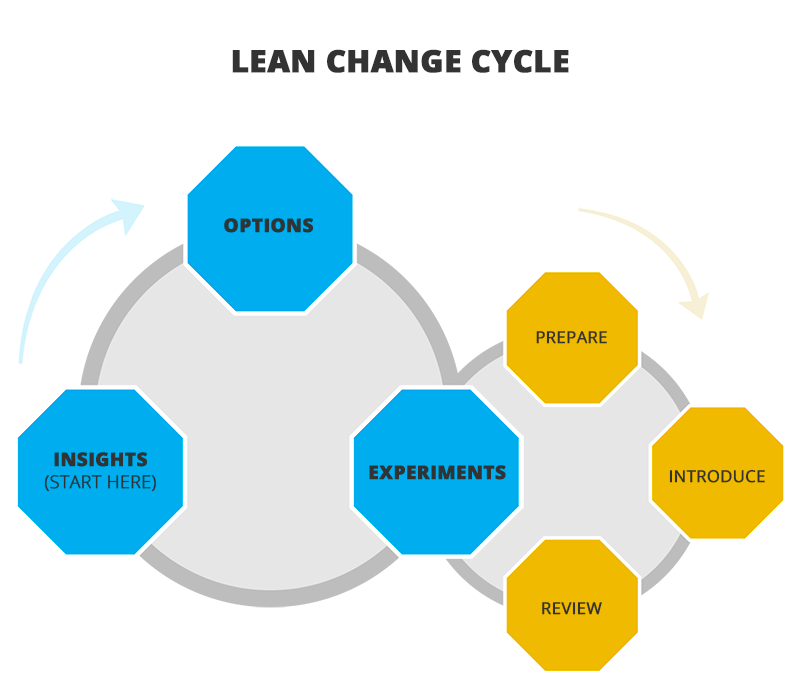 lean change management case study